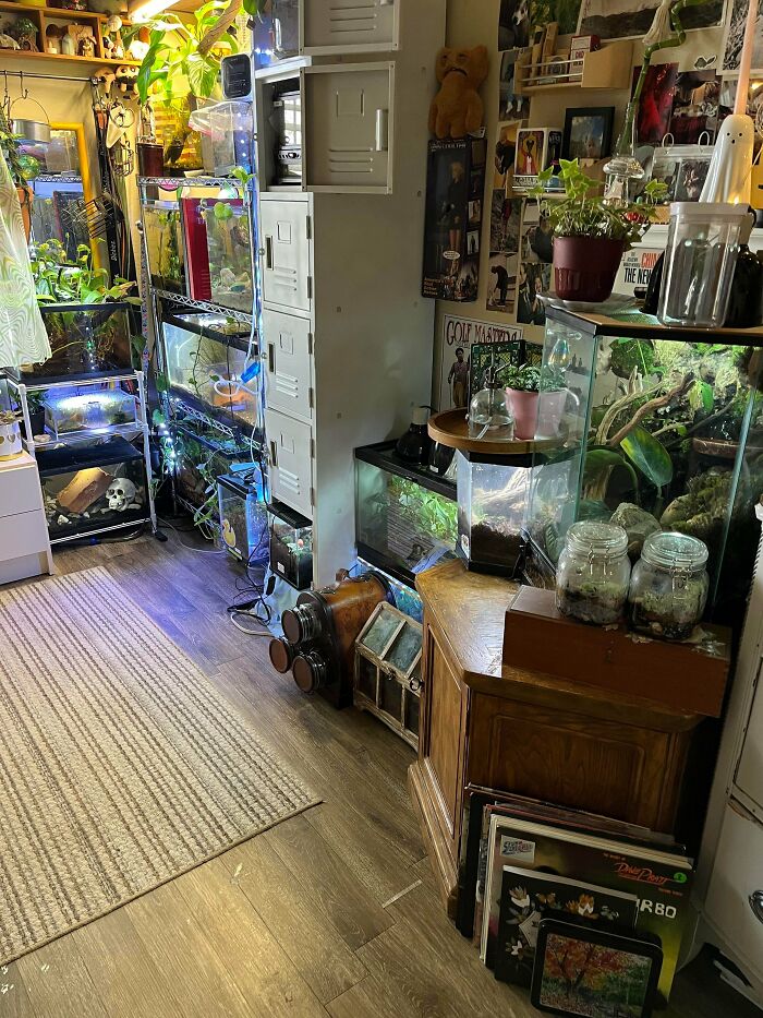 My Bedroom Is A Cleaning Nightmare Every Single Week