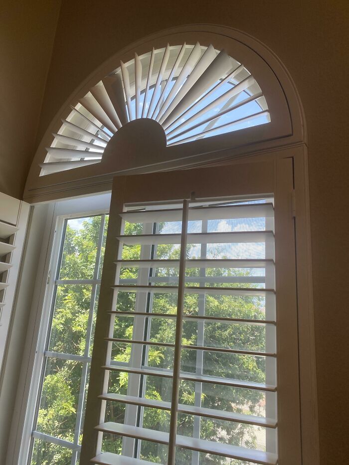 Blinds That Make You Question Your Life Choices