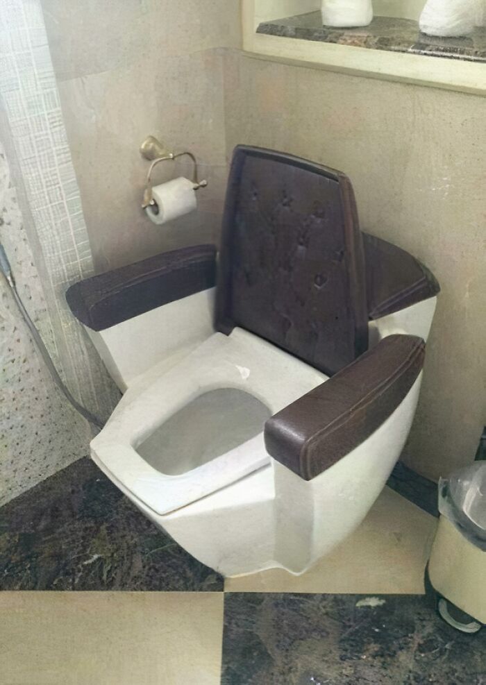 What Kind Of Toilet Even Is This???