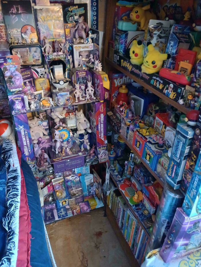 Cleaning Advice Needed For Dusty Collection Nightmares