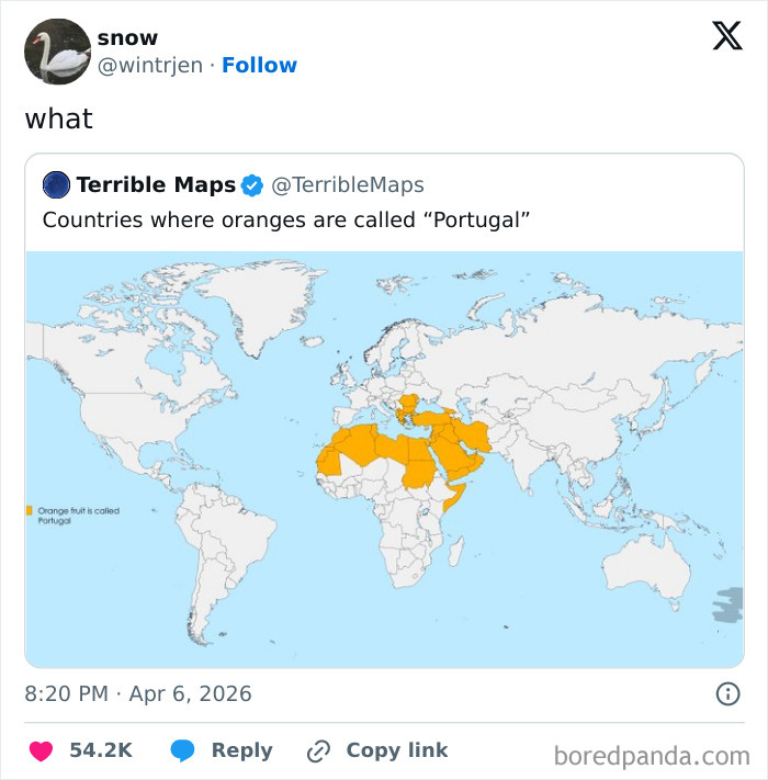 Wait, They Actually Made These Hilariously Terrible Maps?!