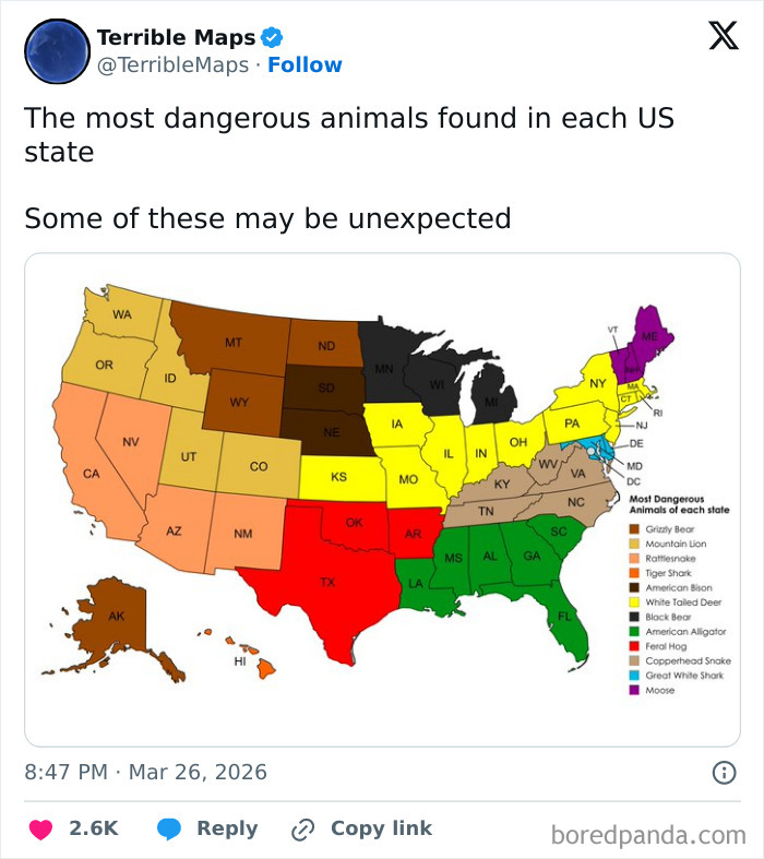 Wait, They Actually Made These Hilariously Terrible Maps?!