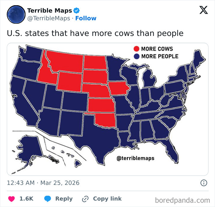 Wait, They Actually Made These Hilariously Terrible Maps?!