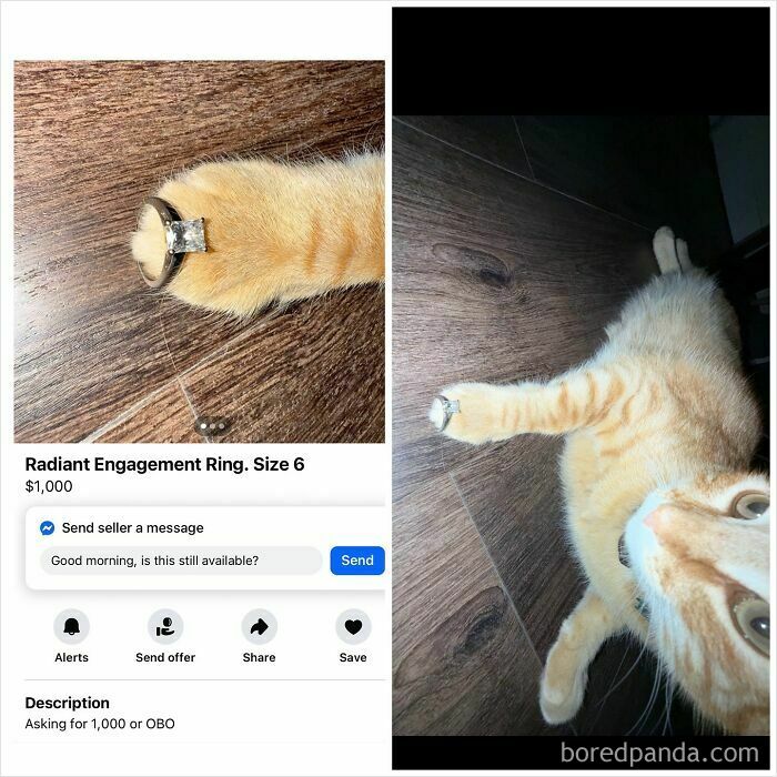 Wait, People Actually Tried Selling THIS on Facebook Marketplace?!