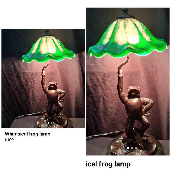 Wait, People Actually Tried Selling THIS on Facebook Marketplace?!