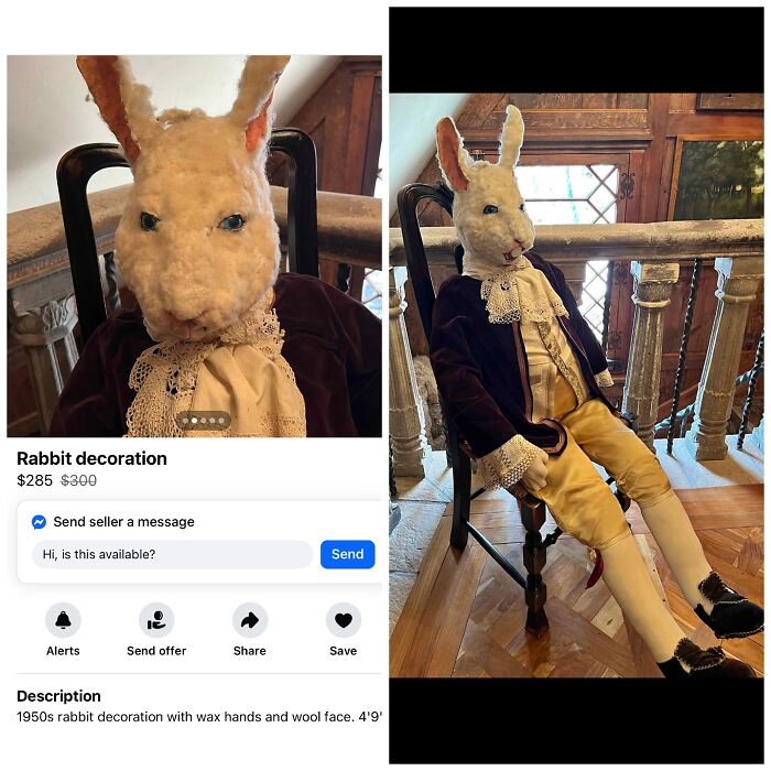 Wait, People Actually Tried Selling THIS on Facebook Marketplace?!