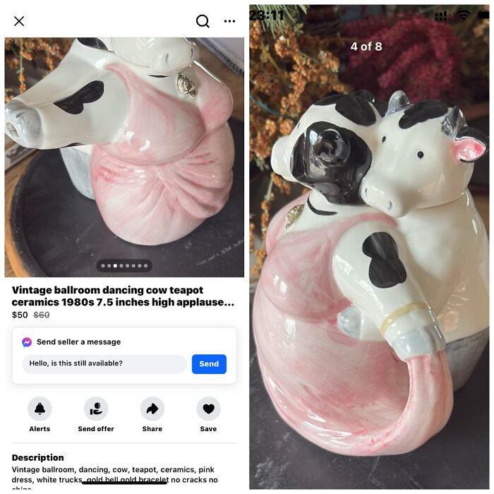 Wait, People Actually Tried Selling THIS on Facebook Marketplace?!