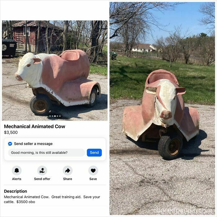 Wait, People Actually Tried Selling THIS on Facebook Marketplace?!