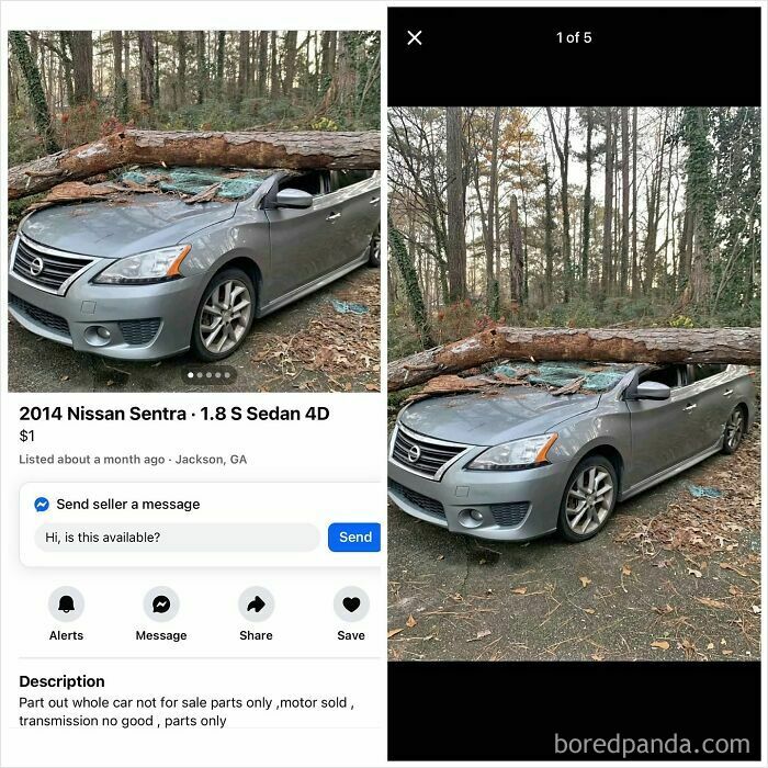 Wait, People Actually Tried Selling THIS on Facebook Marketplace?!