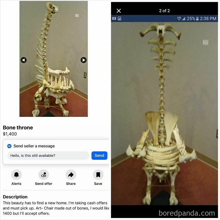Wait, People Actually Tried Selling THIS on Facebook Marketplace?!