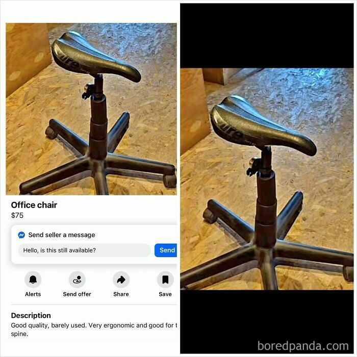 Wait, People Actually Tried Selling THIS on Facebook Marketplace?!