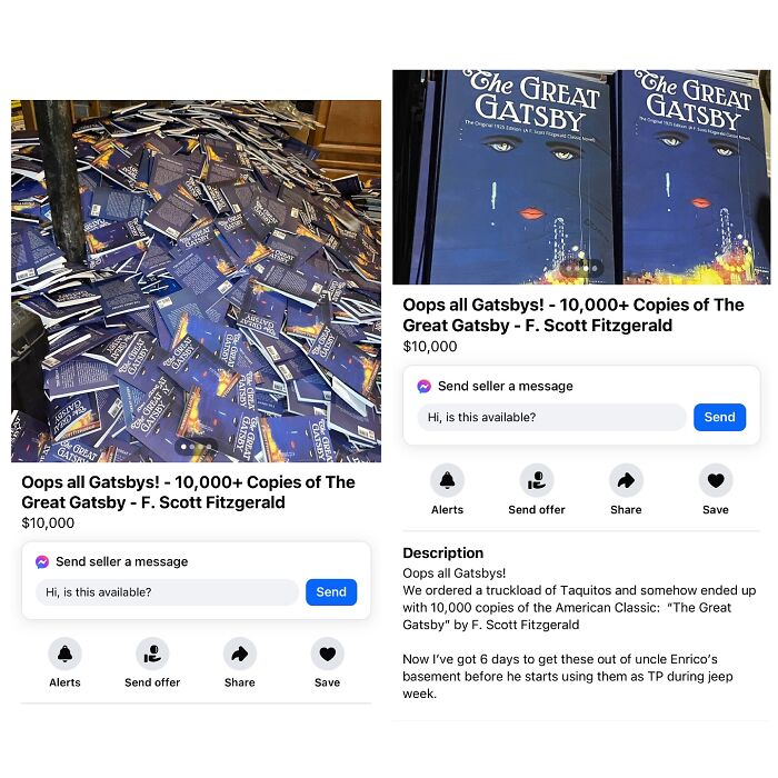 Wait, People Actually Tried Selling THIS on Facebook Marketplace?!