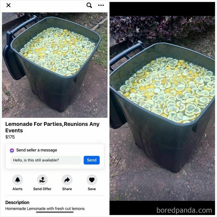 Wait, People Actually Tried Selling THIS on Facebook Marketplace?!