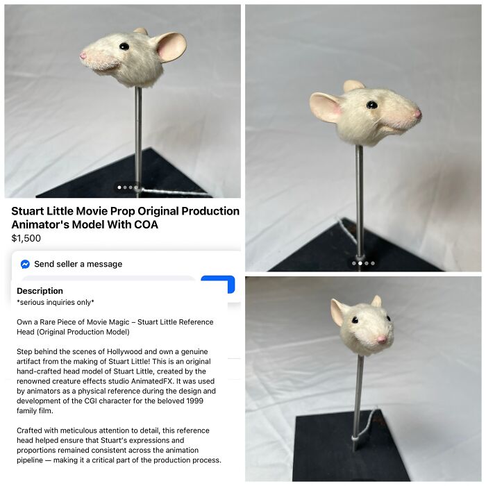 Wait, People Actually Tried Selling THIS on Facebook Marketplace?!