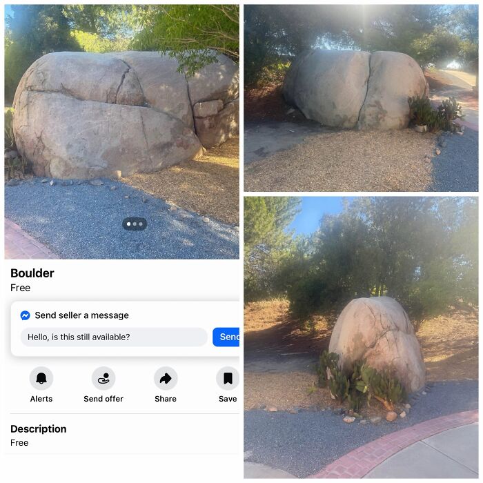 Wait, People Actually Tried Selling THIS on Facebook Marketplace?!
