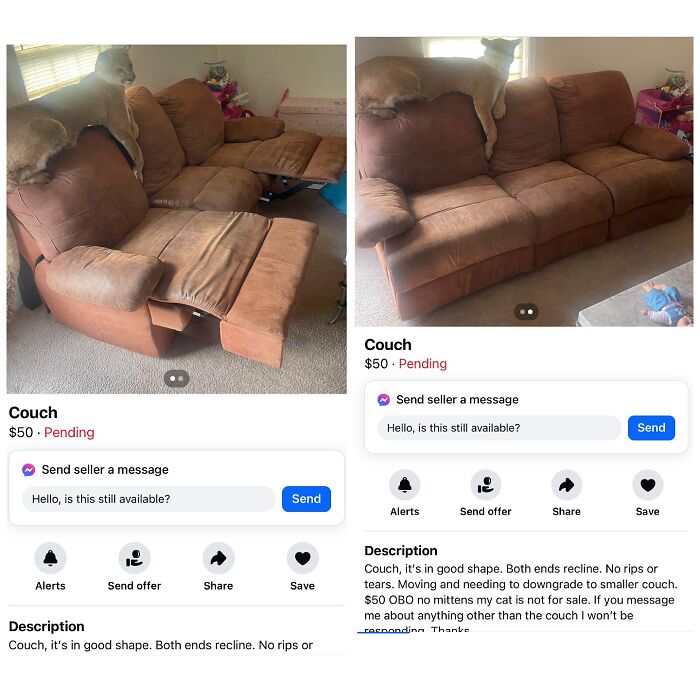 Wait, People Actually Tried Selling THIS on Facebook Marketplace?!