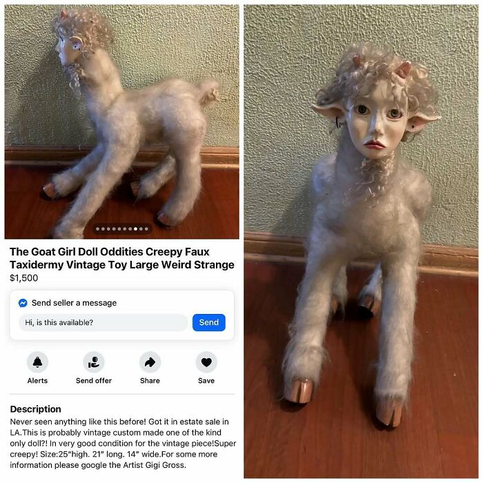 Wait, People Actually Tried Selling THIS on Facebook Marketplace?!