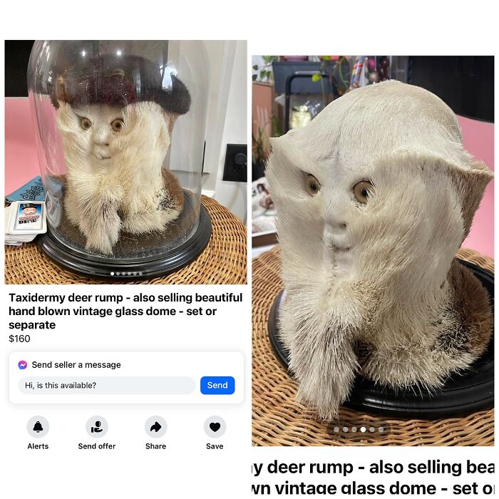 Wait, People Actually Tried Selling THIS on Facebook Marketplace?!