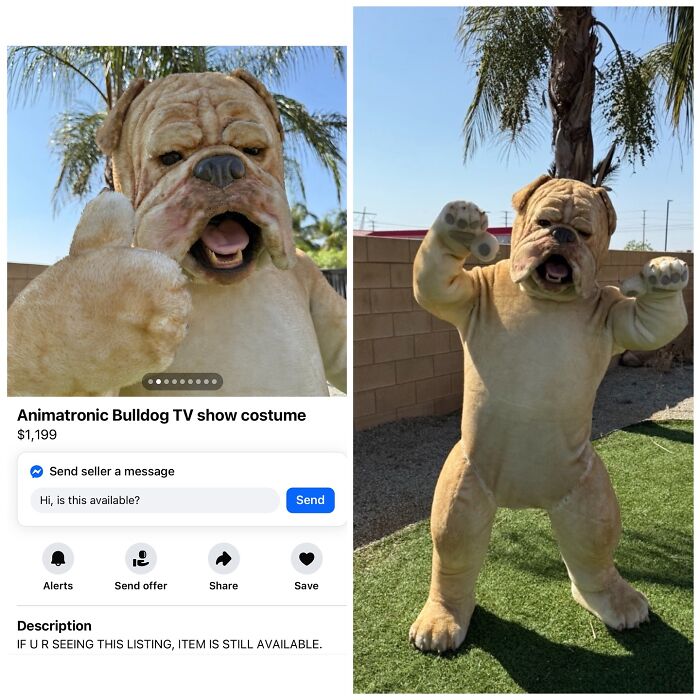 Wait, People Actually Tried Selling THIS on Facebook Marketplace?!