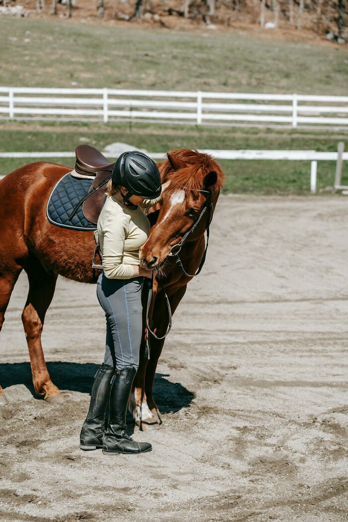 Wait, Animals Saving Humans? Yep, Happened A LOT!