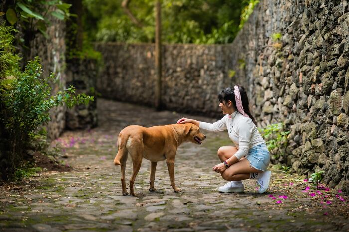 Wait, Animals Saving Humans? Yep, Happened A LOT!