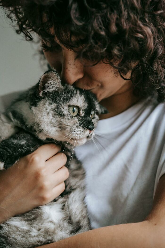 Wait, Animals Saving Humans? Yep, Happened A LOT!