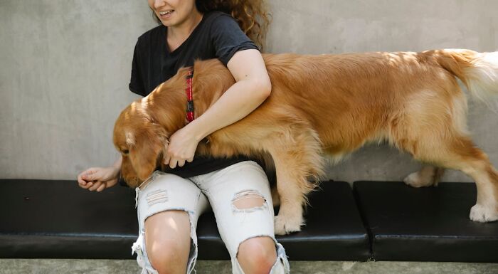 Wait, Animals Saving Humans? Yep, Happened A LOT!
