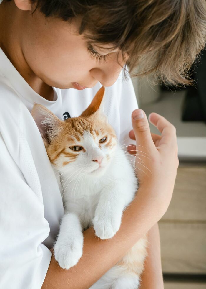 Wait, Animals Saving Humans? Yep, Happened A LOT!