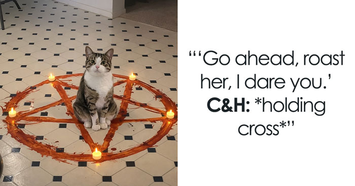 Wait Till You See These Pets Get Roasted So Hard They’re Still Recovering!
