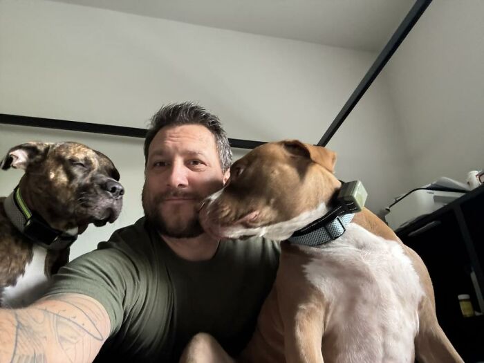 Wait Till You See These Pets Get Roasted So Hard They’re Still Recovering!