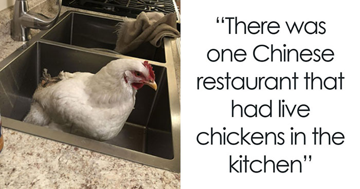 Wait, Health Inspectors Spilled These Wild Restaurant Secrets?!