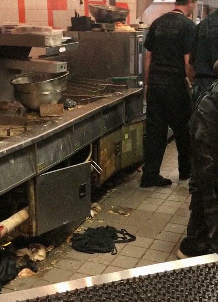 Wait, Health Inspectors Spilled These Wild Restaurant Secrets?!