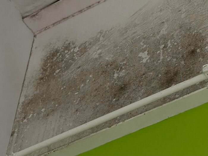 Wait, Health Inspectors Spilled These Wild Restaurant Secrets?!