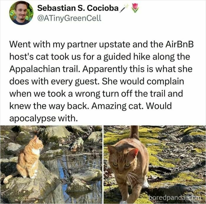 85 Feel-Good Posts To Brighten Even Your Crummiest Day