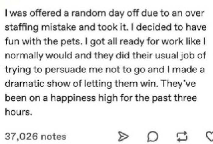 85 Feel-Good Posts To Brighten Even Your Crummiest Day
