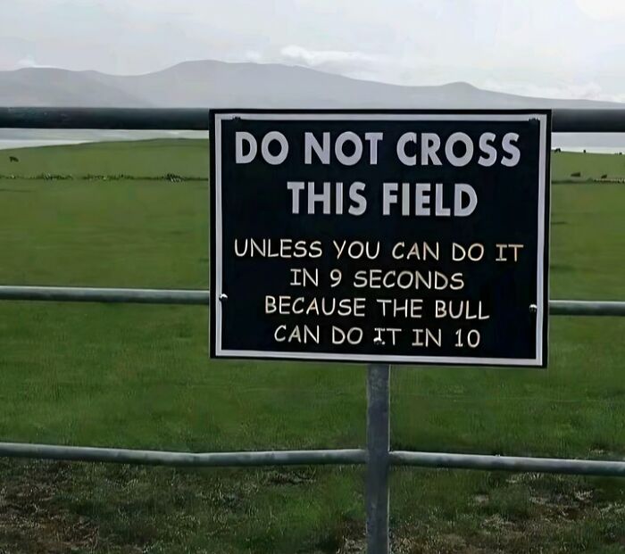 How Fast Do You *Really* Need To Run From A Bull?