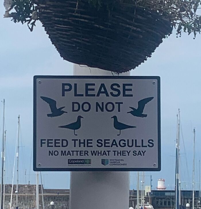 Harbor Signs In Cumbria With That British Twist