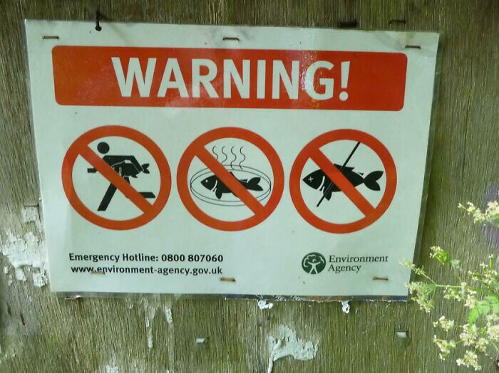 No Running With Big Fish Allowed. Yep, You Read That Right.
