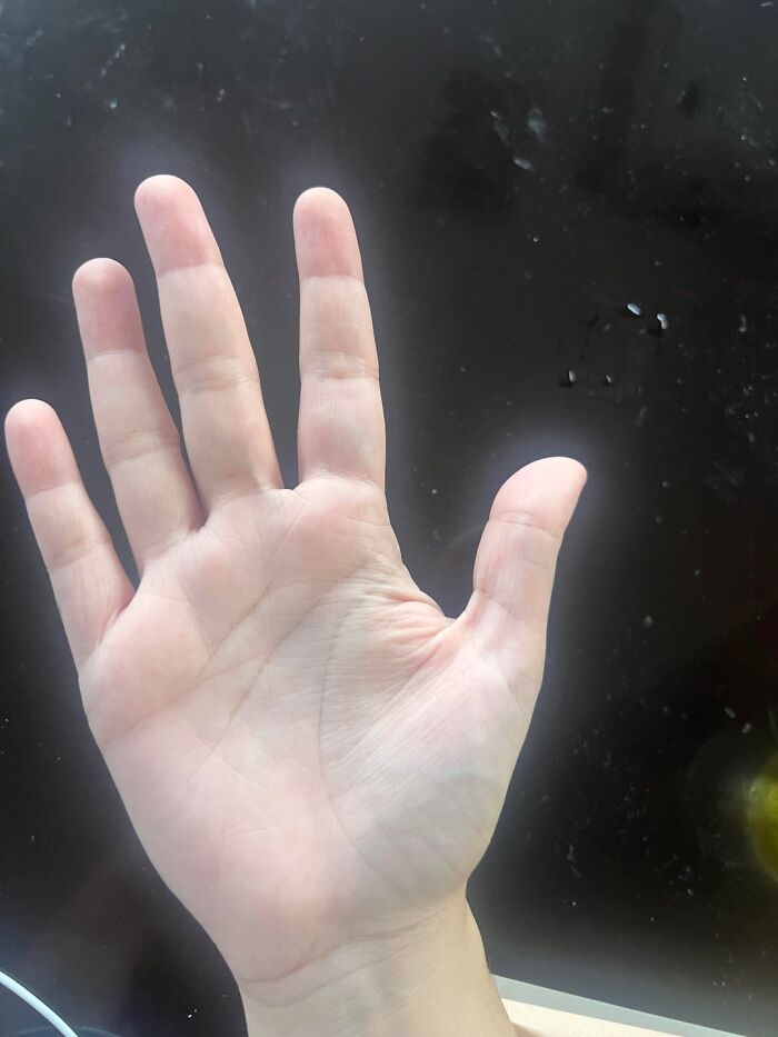 The Wildest, Weirdest Stuff Strangers Have Done in Public (Prepare to LOL)