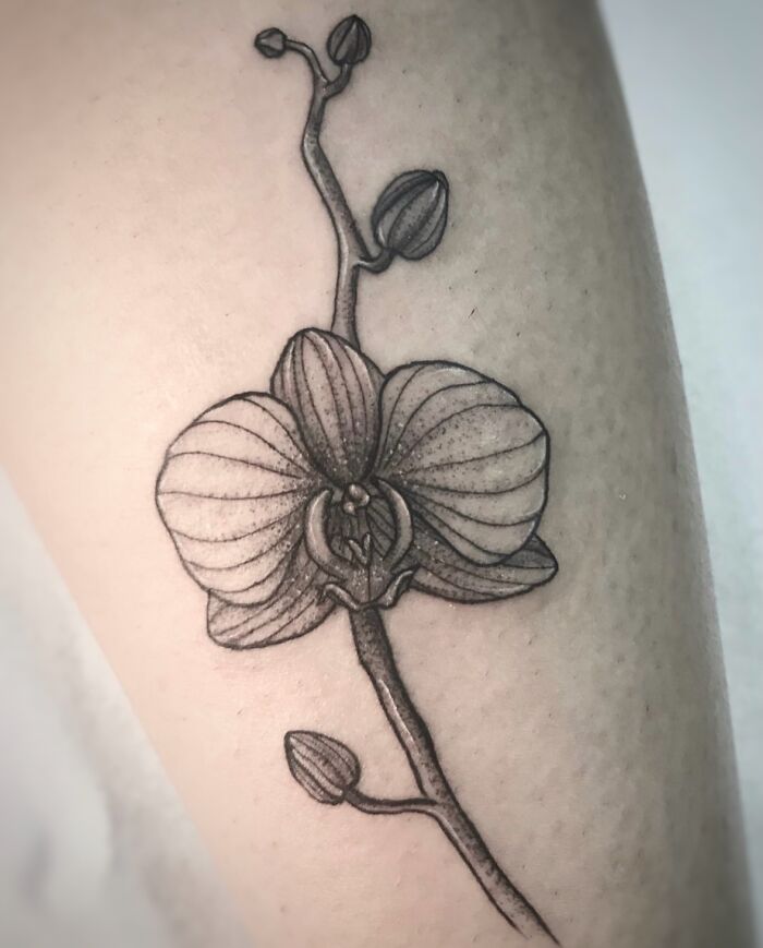 40 Botanical Tattoos That Are Basically Nature’s Finest Artwork