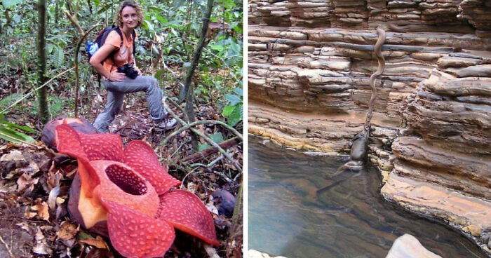 Wait, Nature Got Weird! 42 Pics That’ll Blow Your Mind