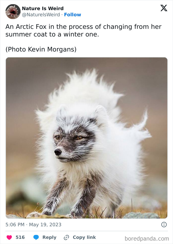 Wait, Nature Got Weird! 42 Pics That’ll Blow Your Mind