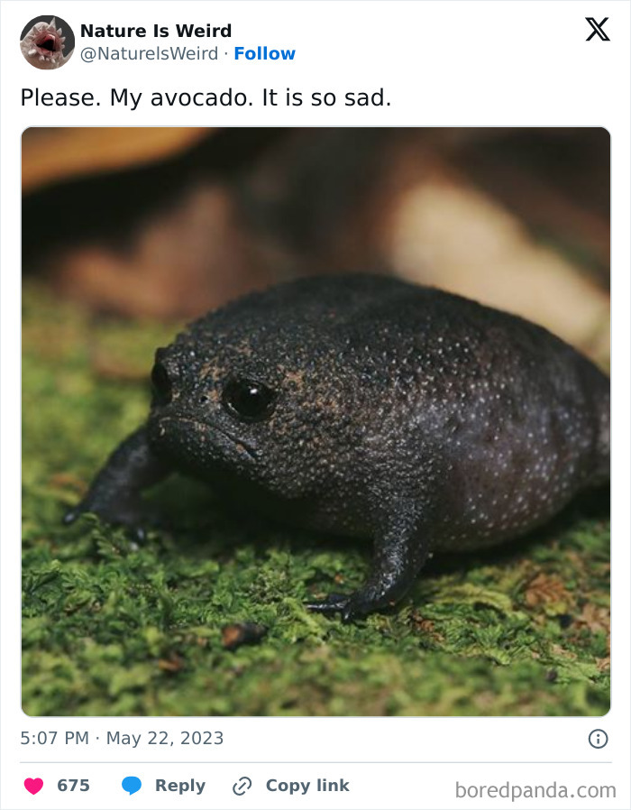 Wait, Nature Got Weird! 42 Pics That’ll Blow Your Mind