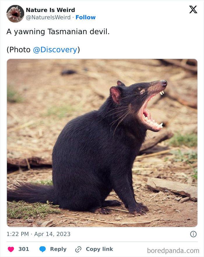 Wait, Nature Got Weird! 42 Pics That’ll Blow Your Mind