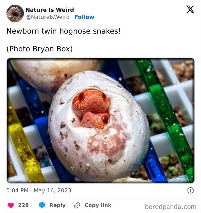 Wait, Nature Got Weird! 42 Pics That’ll Blow Your Mind