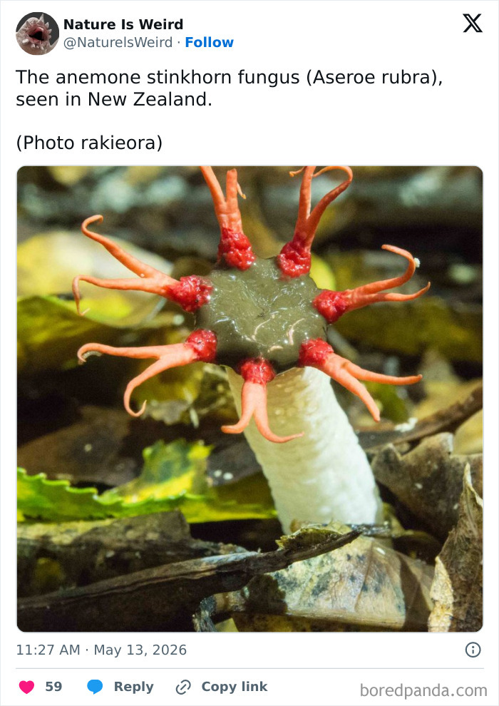 Wait, Nature Got Weird! 42 Pics That’ll Blow Your Mind