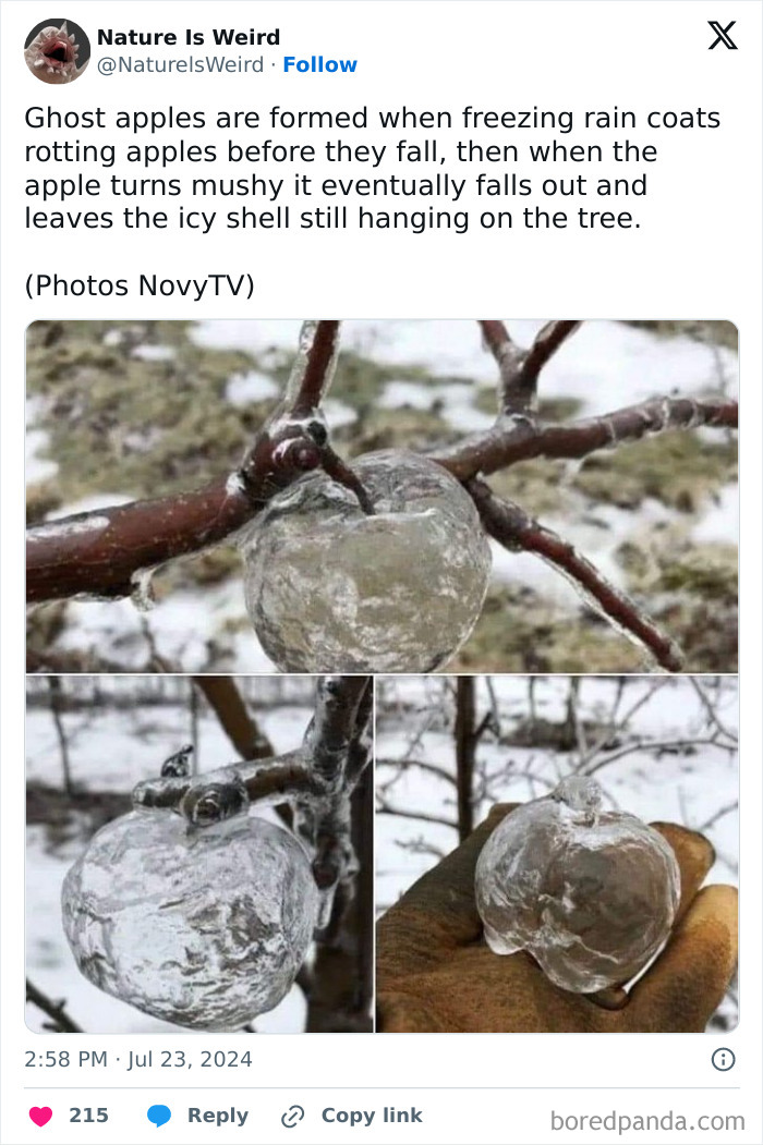 Wait, Nature Got Weird! 42 Pics That’ll Blow Your Mind