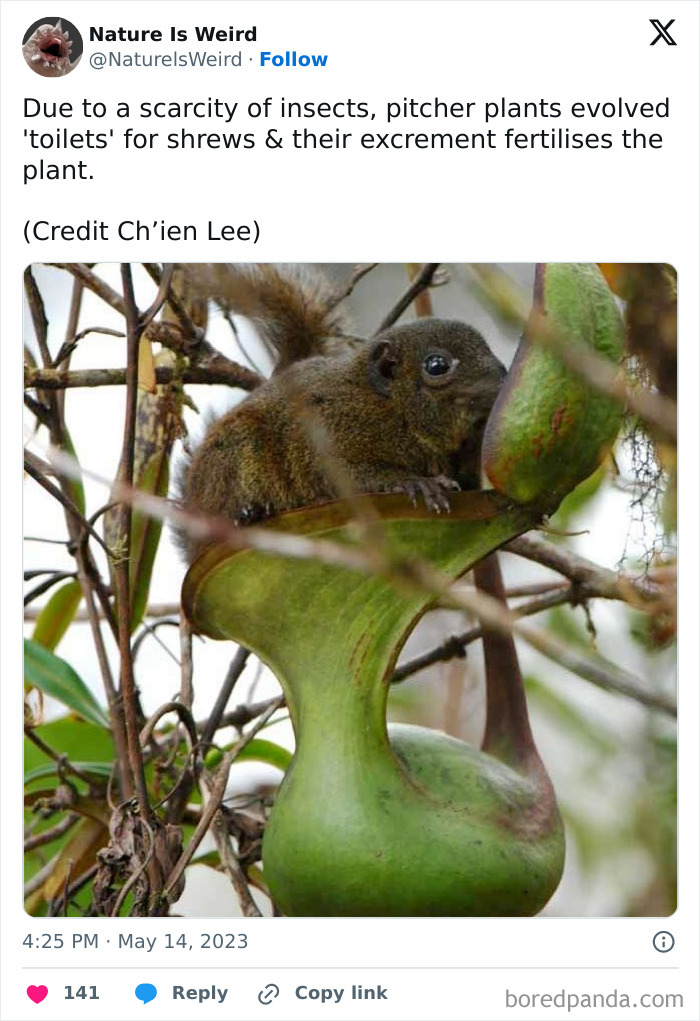 Wait, Nature Got Weird! 42 Pics That’ll Blow Your Mind