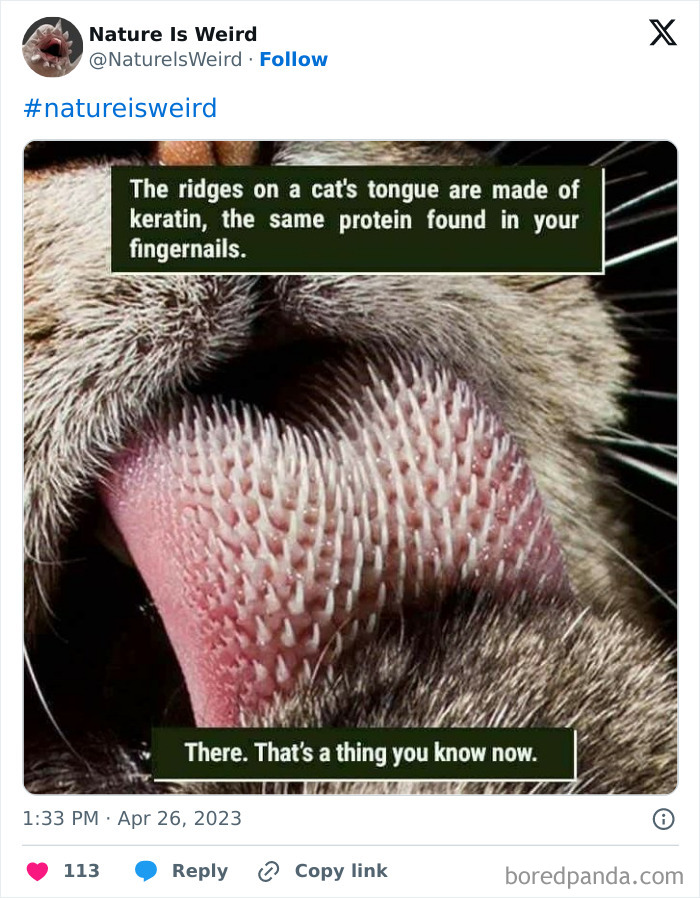 Wait, Nature Got Weird! 42 Pics That’ll Blow Your Mind