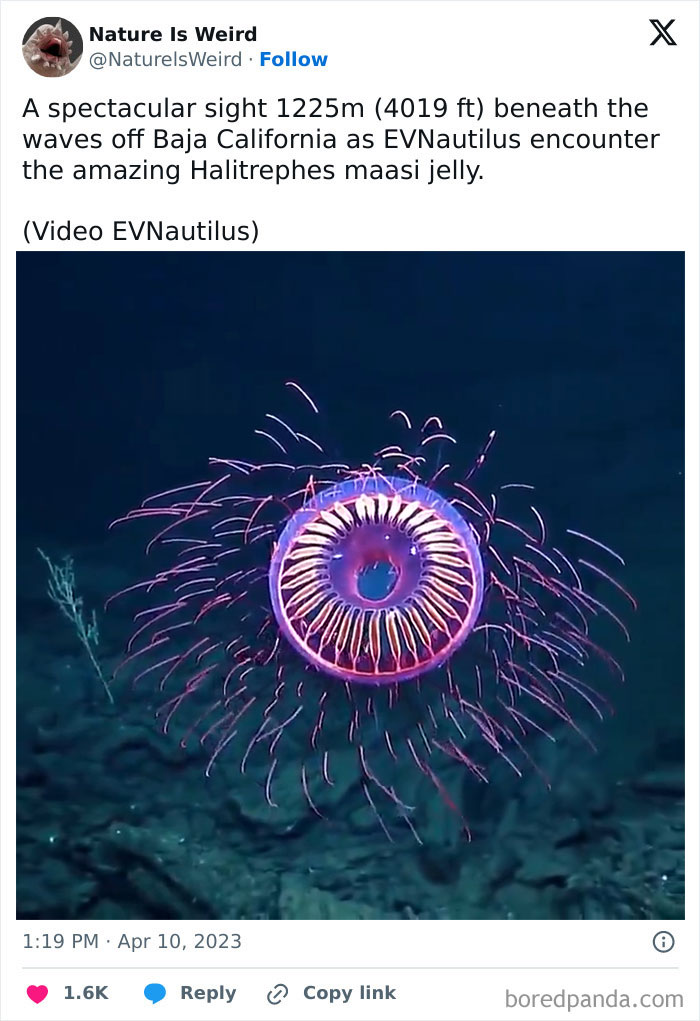 Wait, Nature Got Weird! 42 Pics That’ll Blow Your Mind